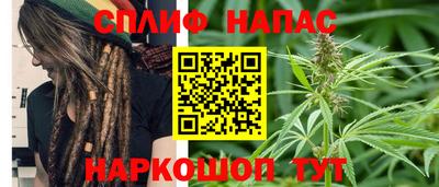 mdpv Бердск