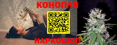 mdpv Бердск