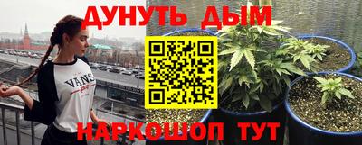 mdpv Бердск